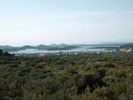 Tisno