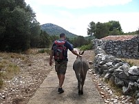 Dugi Otok - Telascica