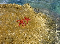 Dugi Otok