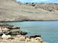 isola Pag