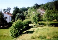 vista dalla terrazza - appartamento Milena