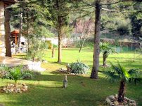 Villa Roberto - giardino