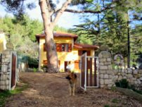 Villa Roberto - Lussinpiccolo - Mali Losinj