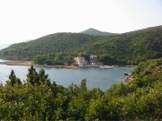 Dragove