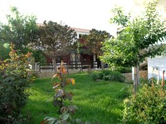 Antizza