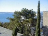 Crikvenica
