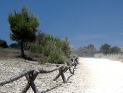 Kamenjak - strada sterrata
