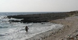Lopata