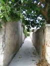 Lukoran