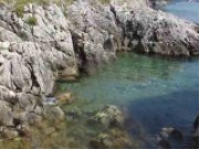 Medveja