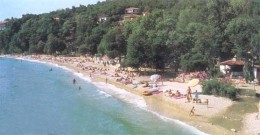 Medveja