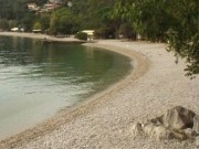Medveja