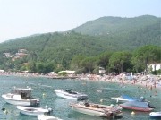 Medveja - baia e porto turistico