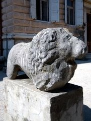 Pola