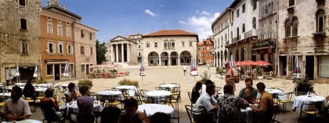 Pola - forum