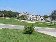 Runjacica