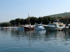 Punat