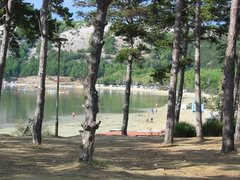 Lopar - pineta