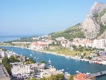 Omis