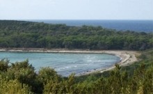 Saharun
