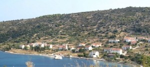 Soline