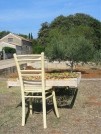 fichi al sole