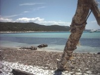 spiaggia Saharun - Dugi Otok