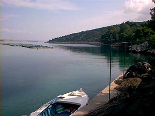 baia Dumboka - fishfarm