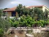 appartamento 239 Plandare - isola Dugi Otok appartamento 239 Plandare