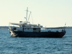 Fazana