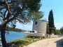 Mljet