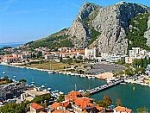 Omis