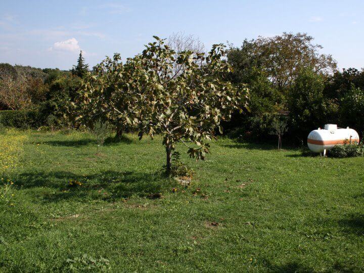 giardino recintato