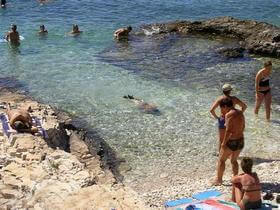 spiaggia di ciottoli e rocciosa