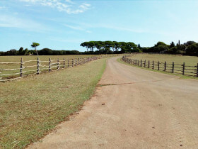 passeggiate nel parco nazionale