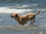 divertimeno in spiaggia per tutti