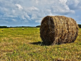 lavori di campagna