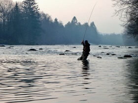 fiume Sava