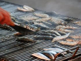 pesce alla griglia sull'isola Hvar