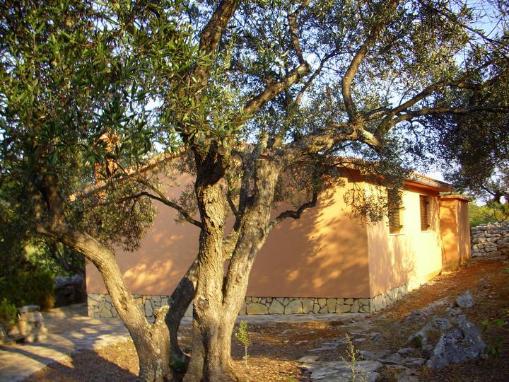 casa immersa nel verde