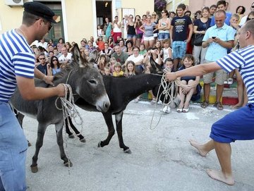 Saljske uzance o corsa degli asini a Sali sull'isola Dugi Otok