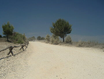 strade bianche e sentieri nel Parco Kamenjak