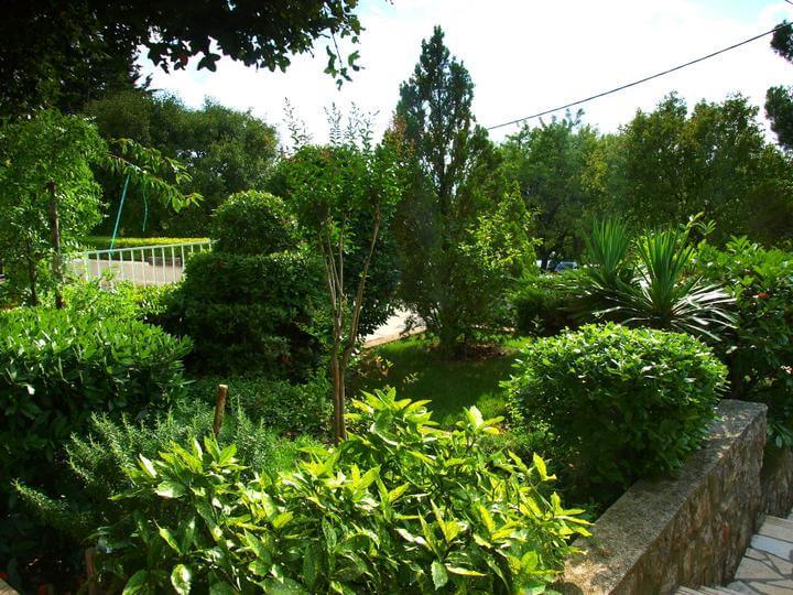 giardino della casa