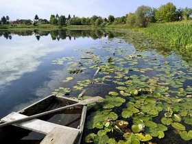 Lonjsko Polje