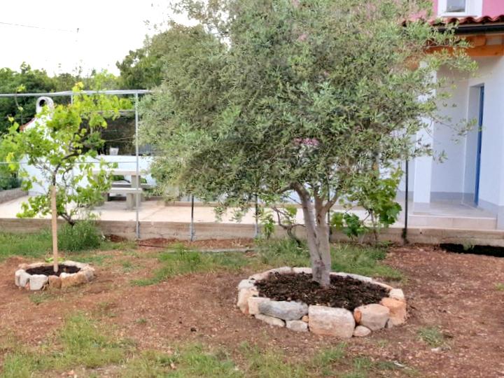 Giardino e terrazza dell'appartamento Anka B con entrata