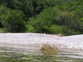 spiaggia a Medveja Opatija