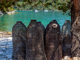 isola Mljet pesca tradizionale