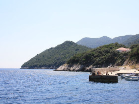 Kozarica al parco dell'isola Mljet