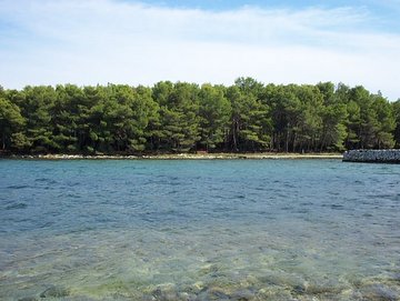 prima vista sulla baia