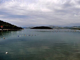 allevamento di molluschi a Peljesac